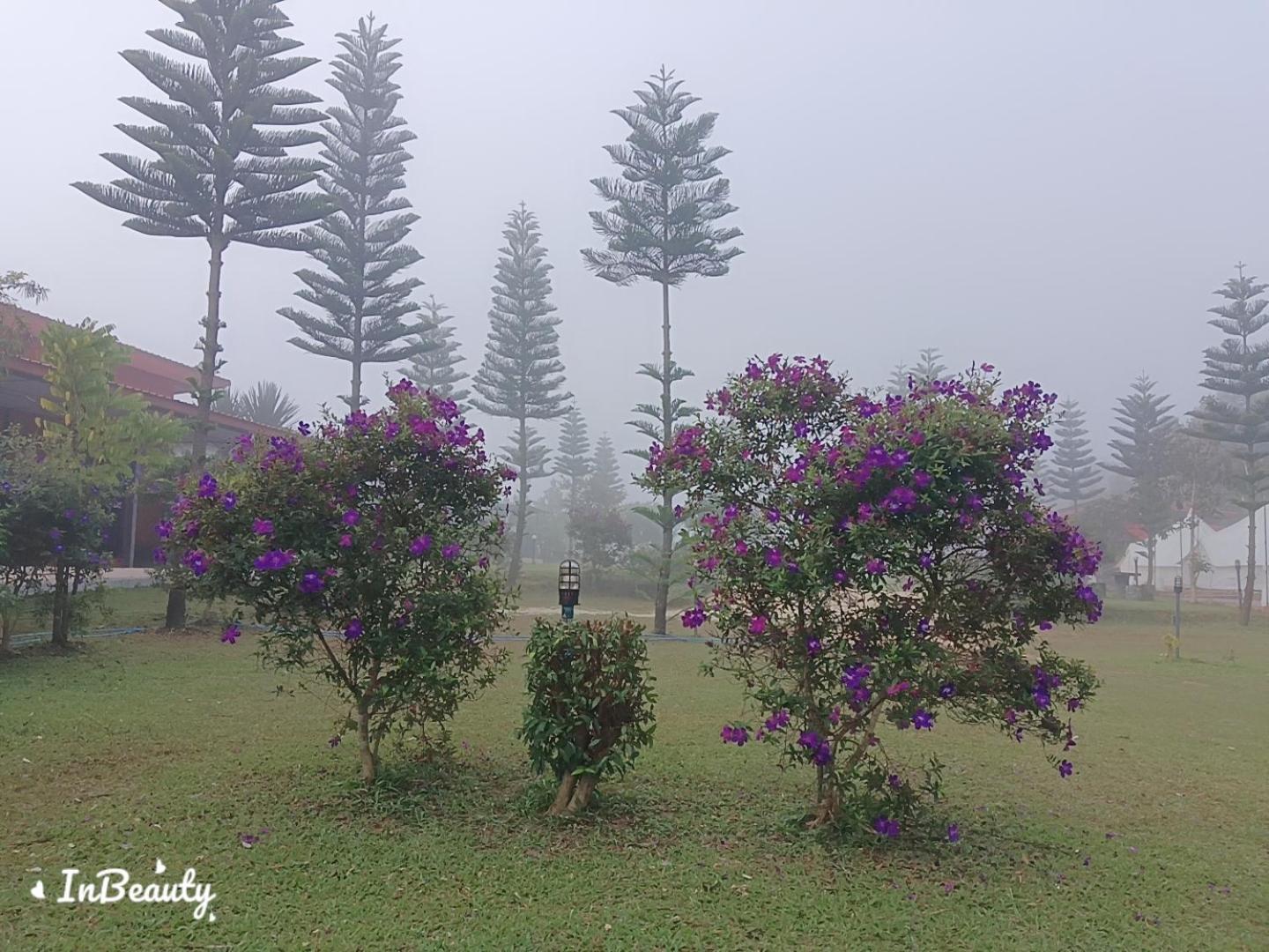 เฟรนด์แคมป์ Villa เขาค้อ ภายนอก รูปภาพ